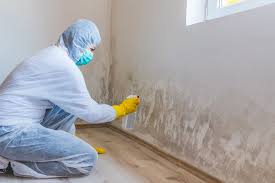 Best Mold Documentation for Insurance Claims  in Coleman, TX